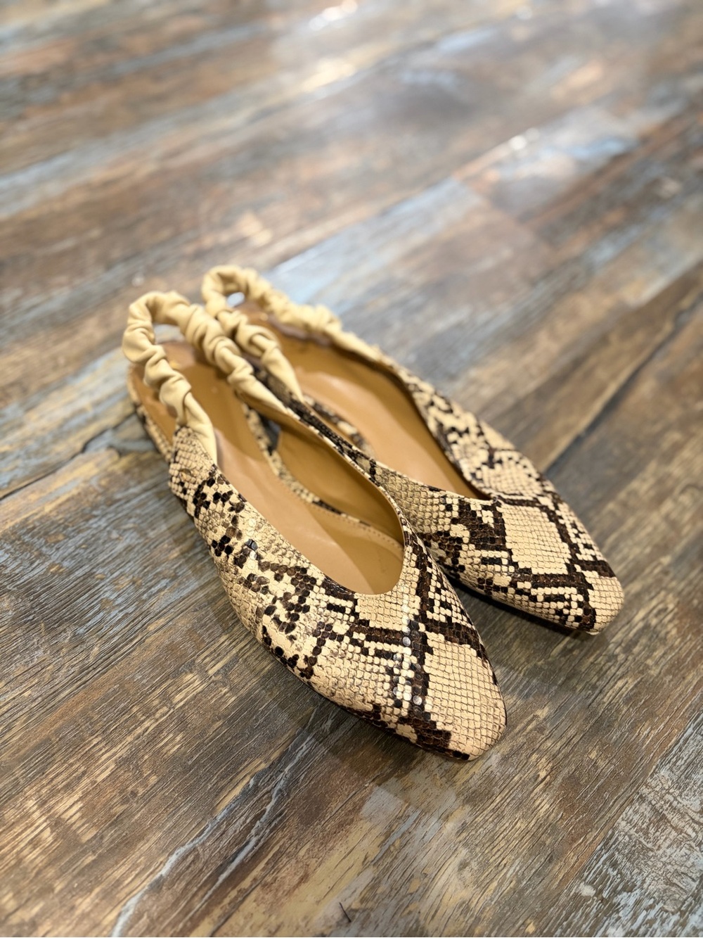Circus by Sam Edelman Beige and Brown Snake-Print Slingback Flats
